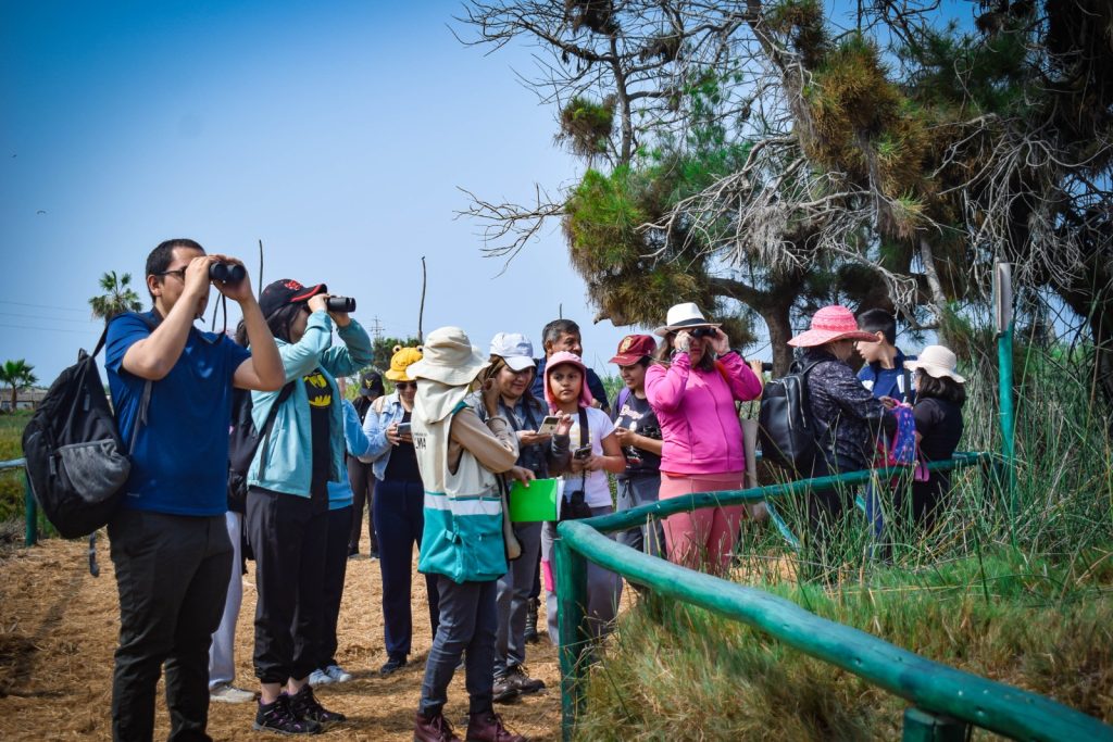Participantes observando aves en el Humedal Pantanos de Villa durante el October Big Day 2025